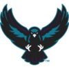 Rochester Knighthawks