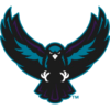 Rochester Knighthawks