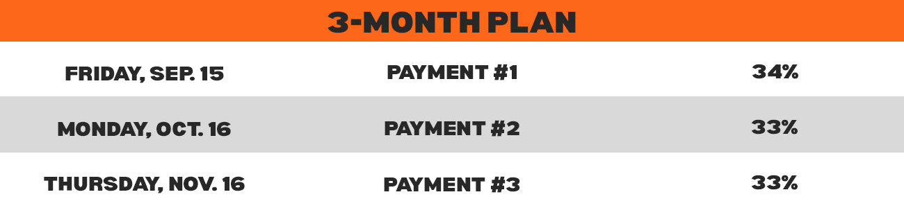 3-Month payment plan option